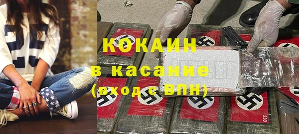 эйфоретик Болотное