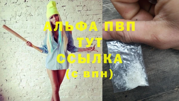 ECSTASY Пересвет