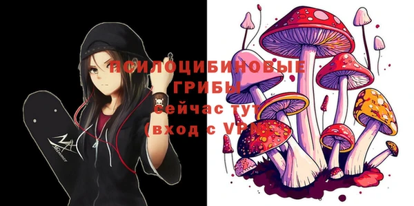 apvp Абдулино
