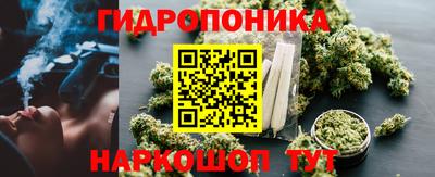 стафф Краснознаменск