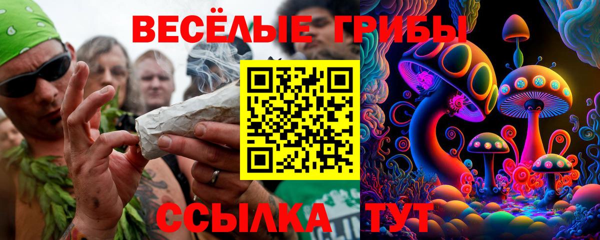 Ижевск  Галлюциногенные грибы ЛСД  купить   Вход с VPN 